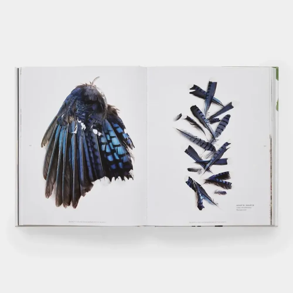 Papeterie - Still: The Art of Noticing - PHAIDON