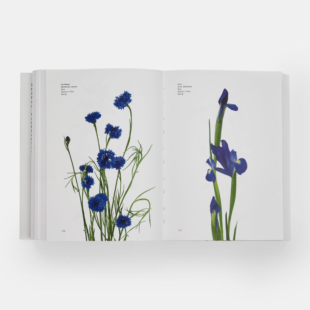 Papeterie - Guide des fleurs par couleurs - PHAIDON