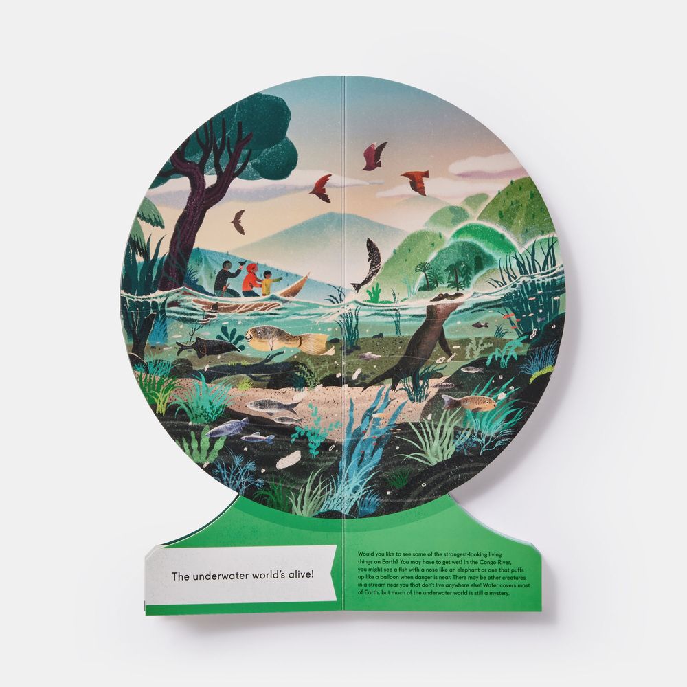 Stationery - Our Underwater World: A First Dive into Oceans, Lakes, and Rivers - PHAIDON