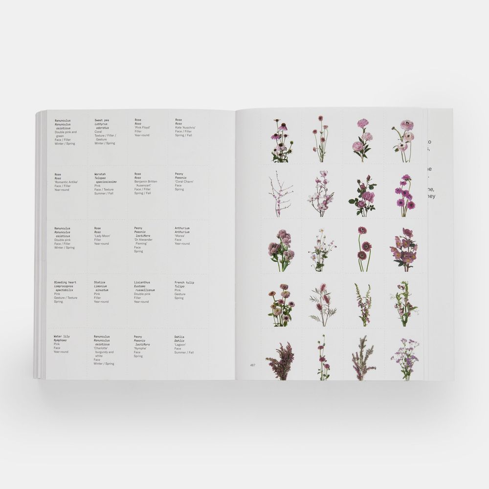 Papeterie - Guide des fleurs par couleurs - PHAIDON