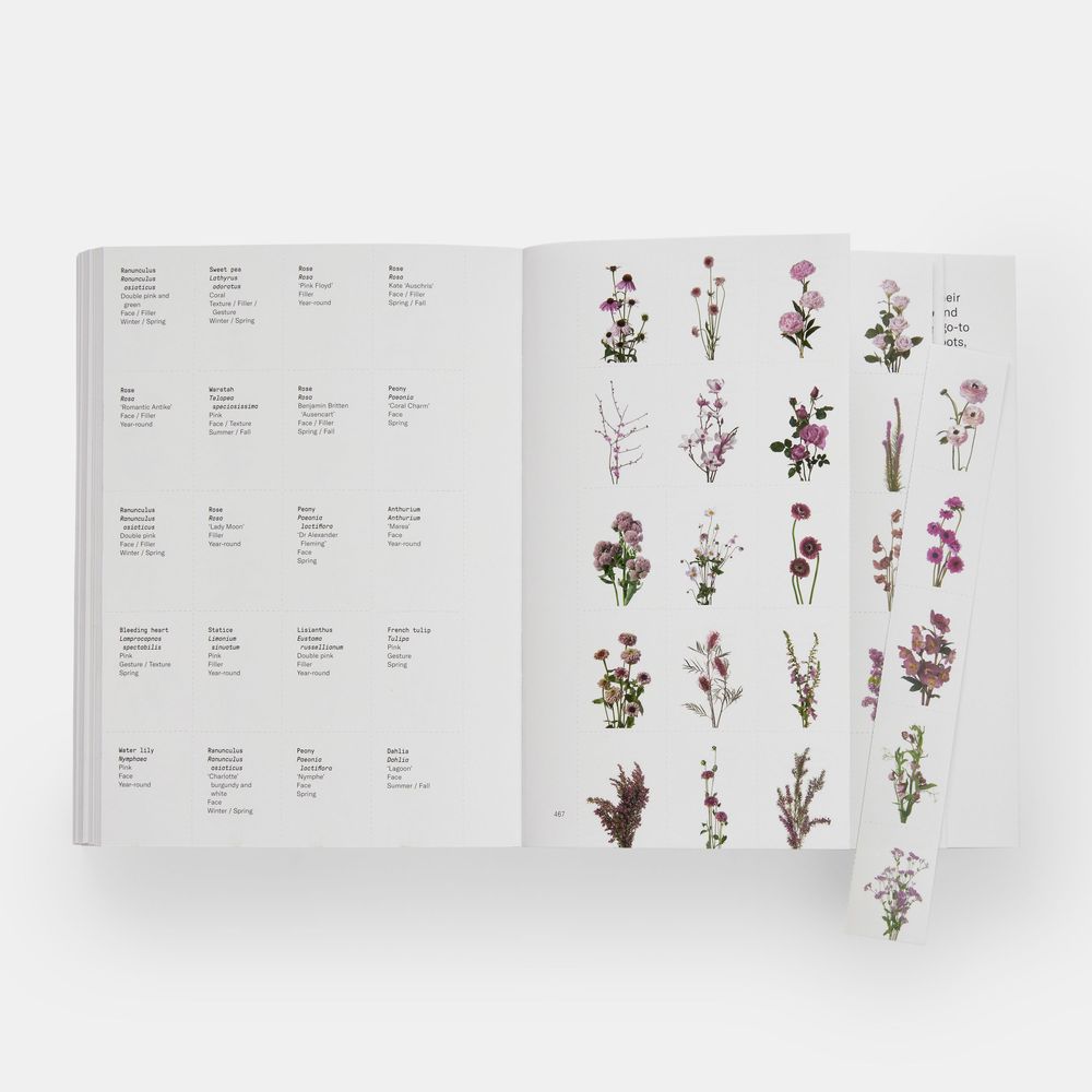 Papeterie - Guide des fleurs par couleurs - PHAIDON