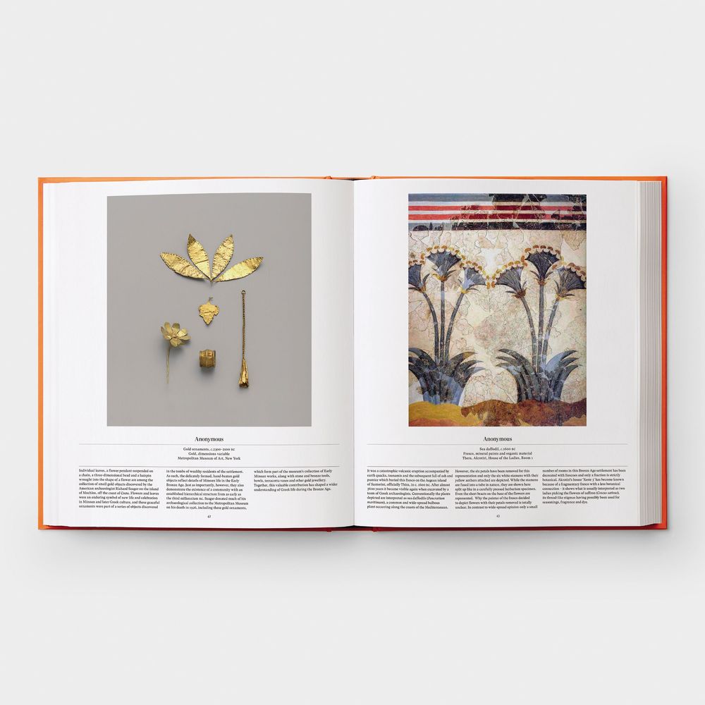 Papeterie - Fleurs: Explorer le monde floral - PHAIDON