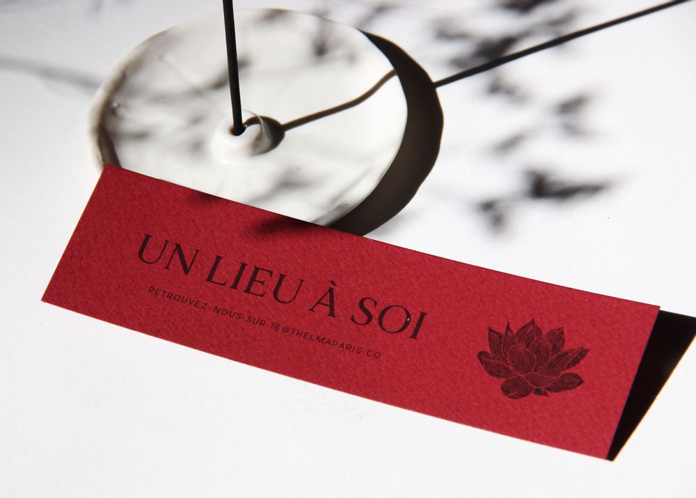 Parfums d'intérieur - Régénération - boite de 48 bâtons - THELMA PARIS