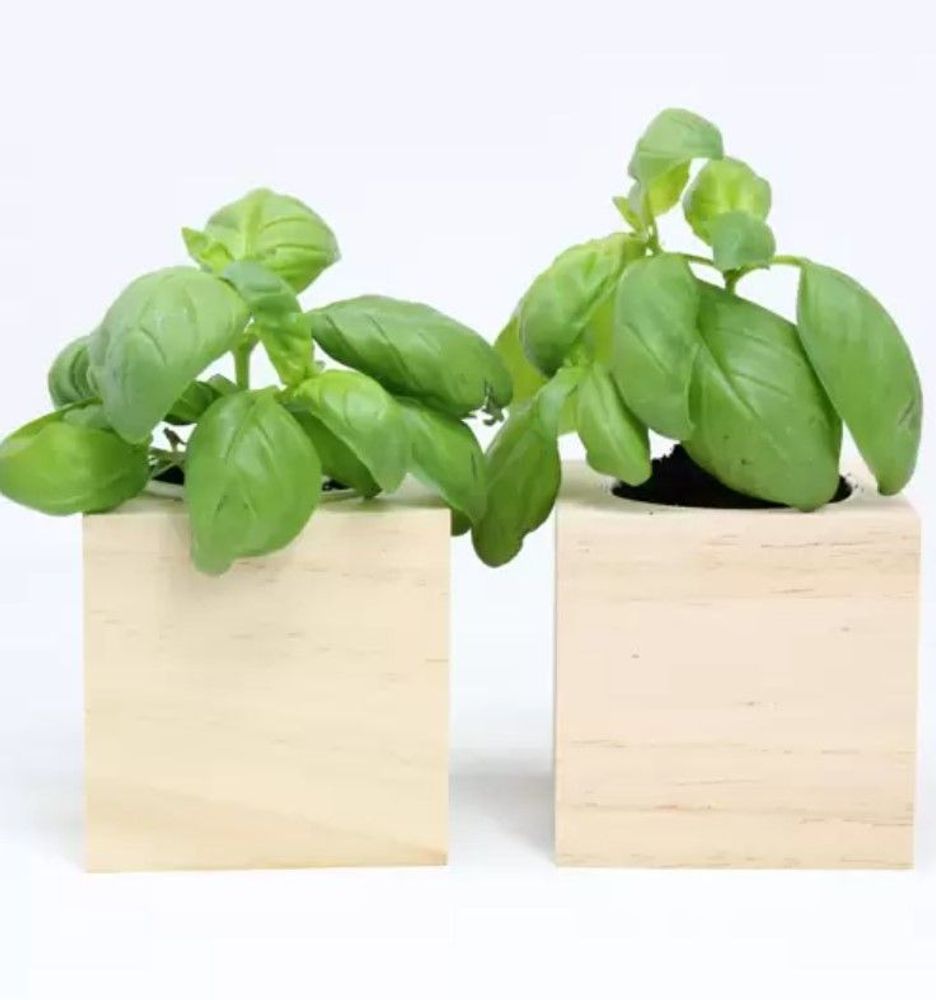Floral decoration - iGreen Cube - IGREEN GADGETS SRL