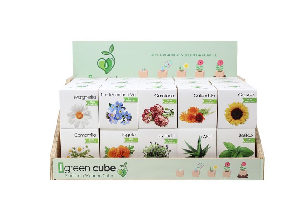Floral decoration - iGreen Cube - IGREEN GADGETS SRL