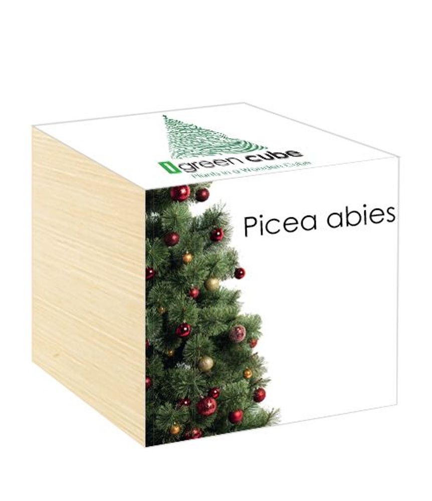 Floral decoration - iGreen Cube - IGREEN GADGETS SRL