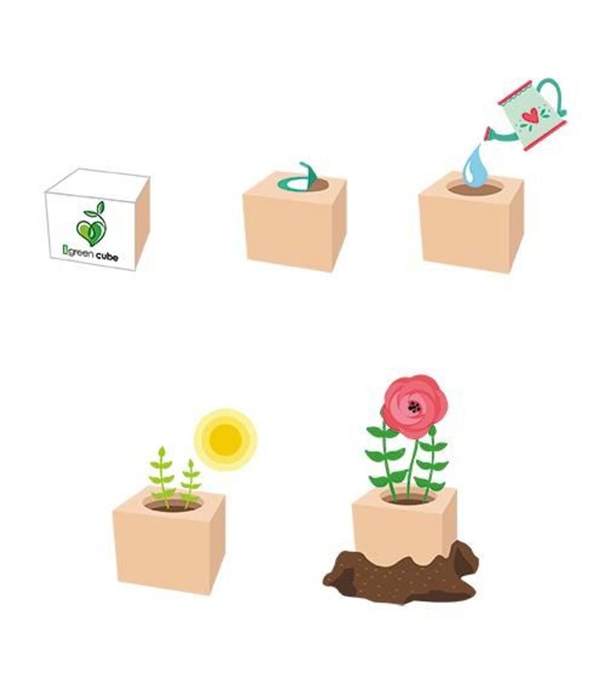 Floral decoration - iGreen Cube - IGREEN GADGETS SRL