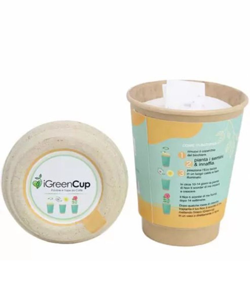 Floral decoration - iGreen Cup - IGREEN GADGETS SRL