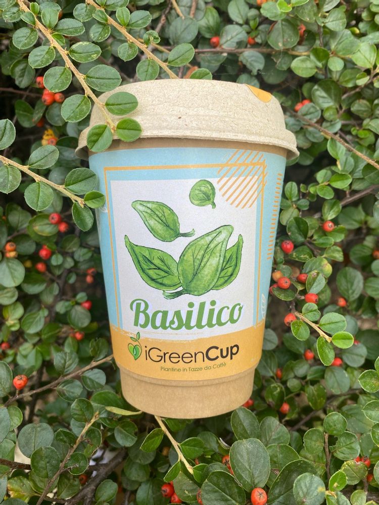 Floral decoration - iGreen Cup - IGREEN GADGETS SRL