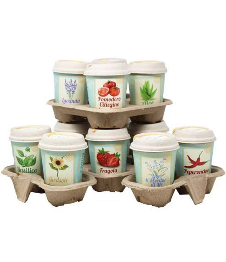Floral decoration - iGreen Cup - IGREEN GADGETS SRL