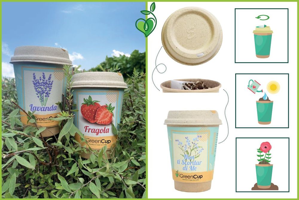 Floral decoration - iGreen Cup - IGREEN GADGETS SRL