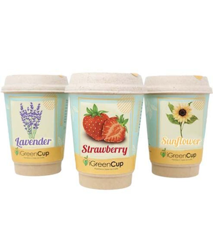 Floral decoration - iGreen Cup - IGREEN GADGETS SRL