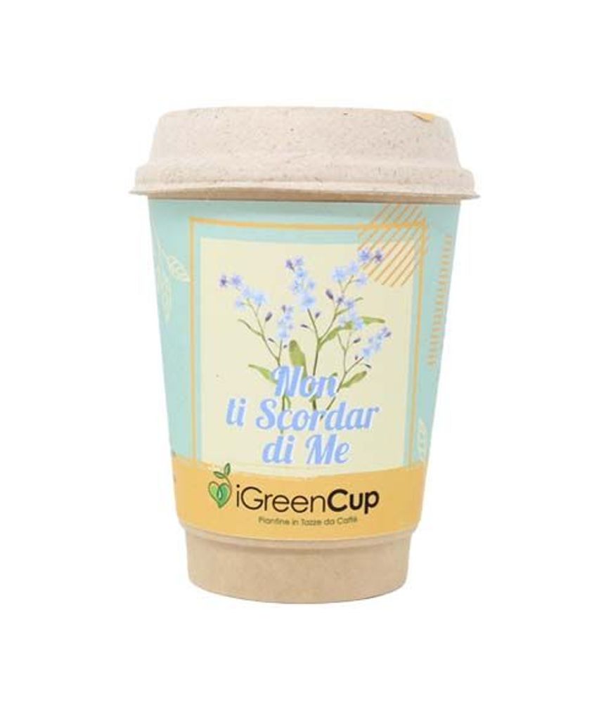 Floral decoration - iGreen Cup - IGREEN GADGETS SRL