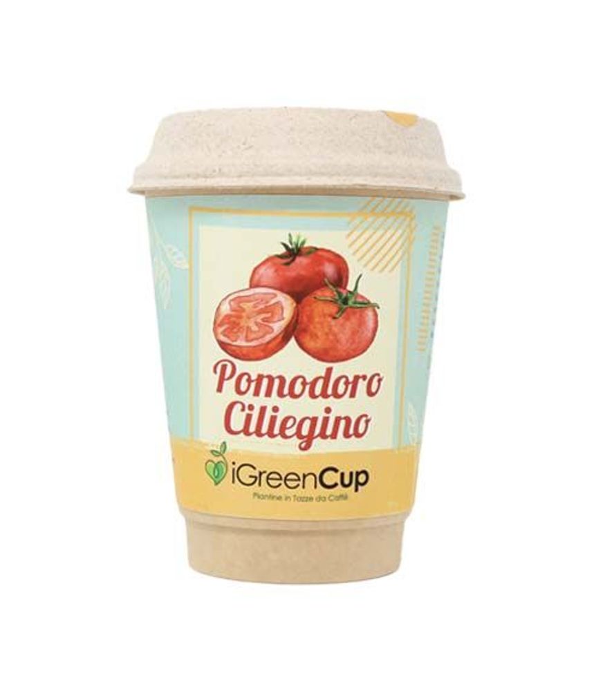 Floral decoration - iGreen Cup - IGREEN GADGETS SRL