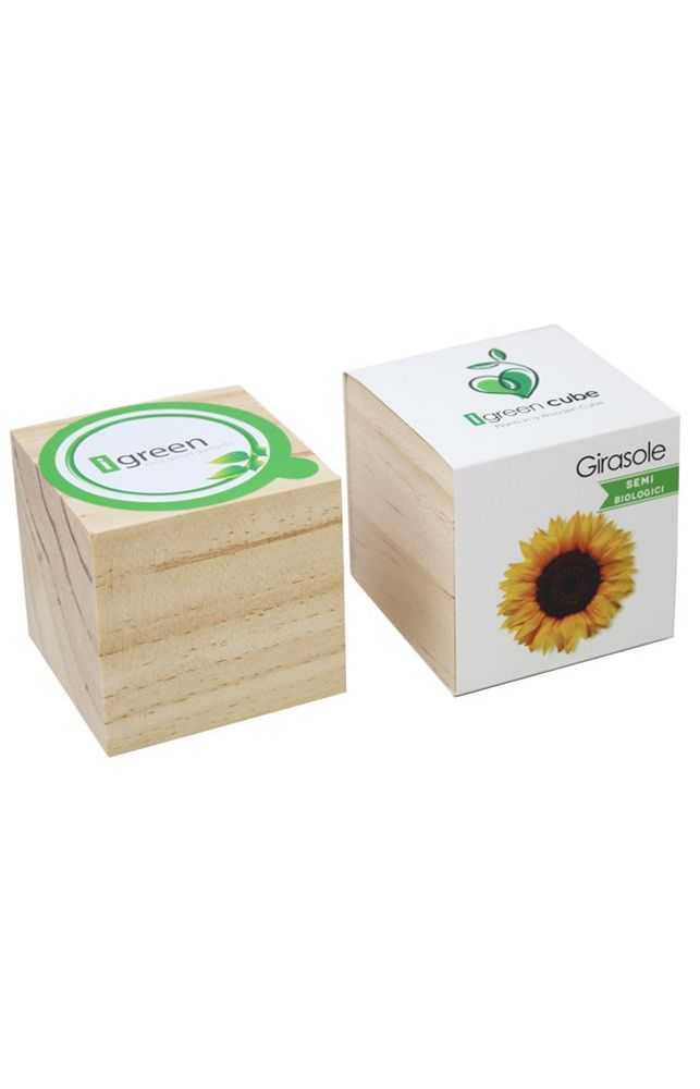 Floral decoration - iGreen Cube - IGREEN GADGETS SRL
