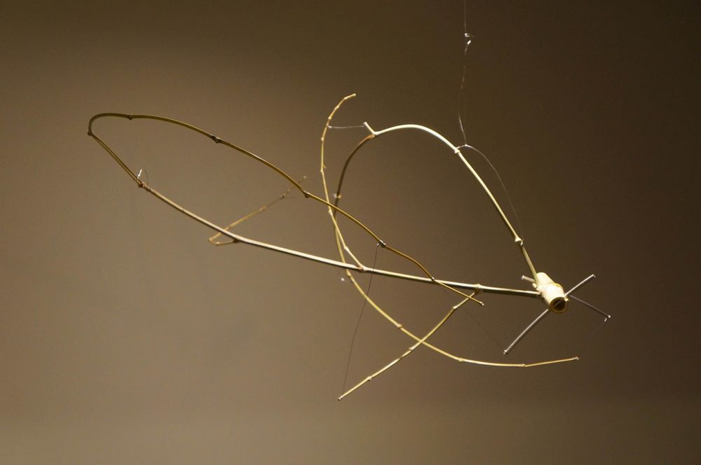 Sculptures, statuettes and miniatures - bamboo - KEIICHI SAITO BY ARTY ARTY