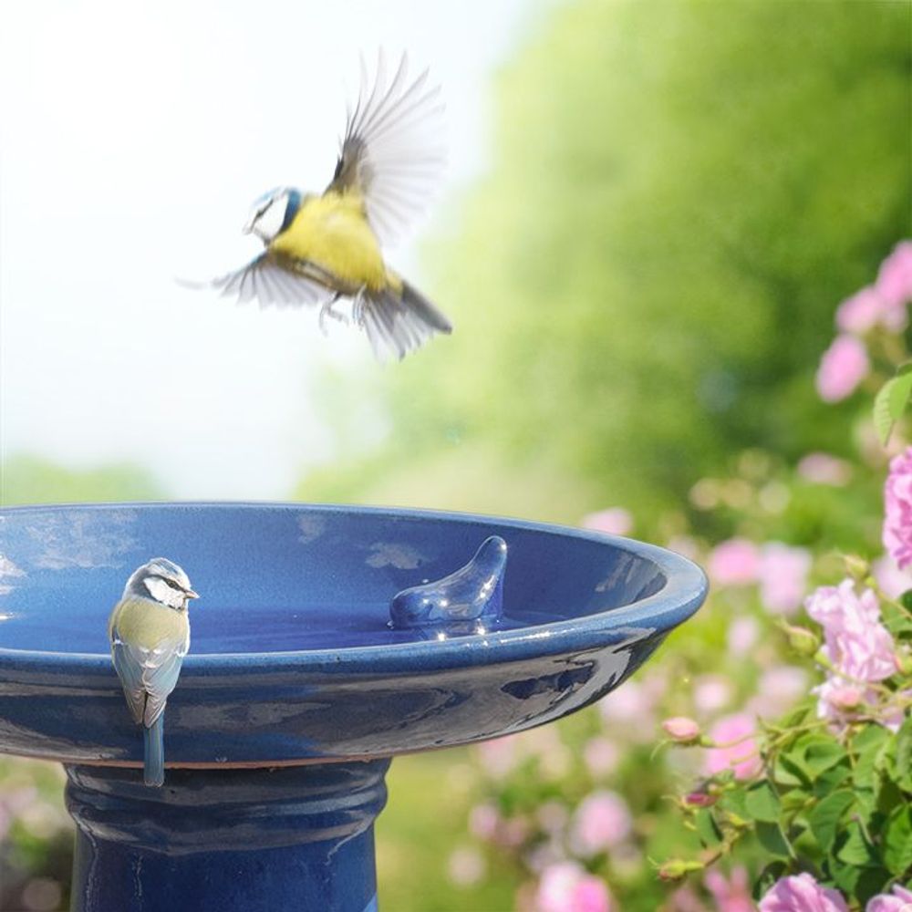 Garden accessories - Best for Birds, Wild on Wildlife: everything for a friendly garden for birds & wildlife - ESSCHERT DESIGN