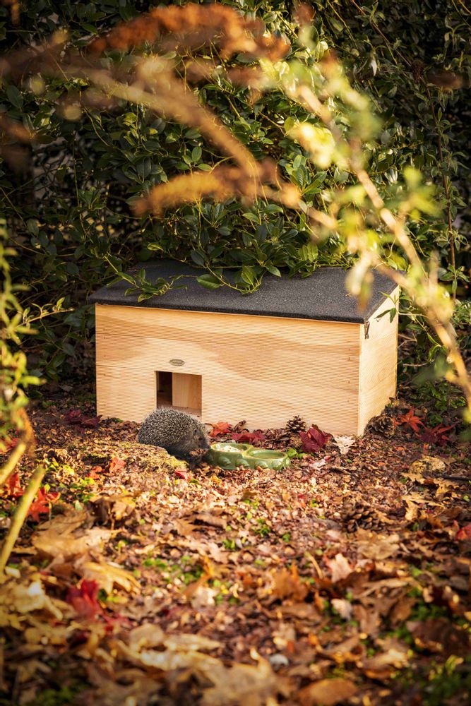 Garden accessories - Best for Birds, Wild on Wildlife: everything for a friendly garden for birds & wildlife - ESSCHERT DESIGN