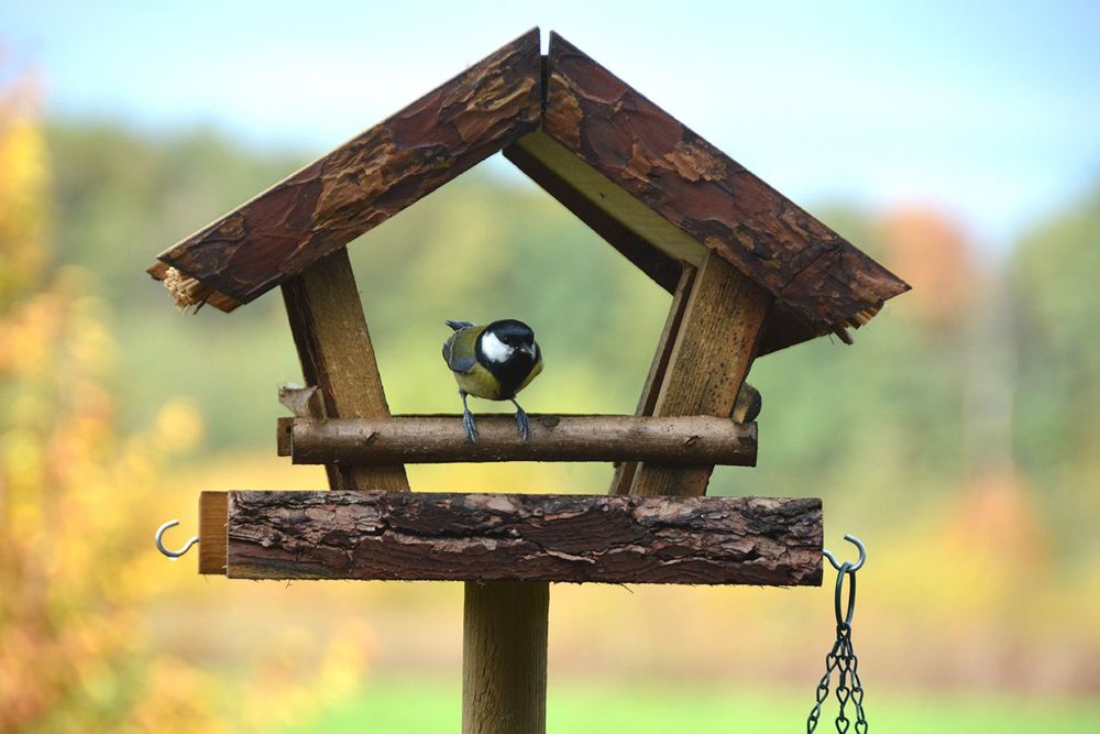 Garden accessories - Best for Birds, Wild on Wildlife: everything for a friendly garden for birds & wildlife - ESSCHERT DESIGN
