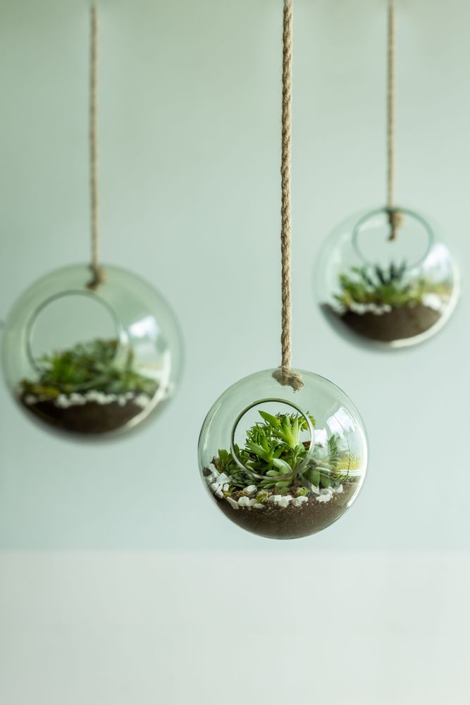 Garden accessories - Esschert's Garden, Water in the Garden: Each garden can be special with our ecological and nature-friendly products (saving water, etc...) - ESSCHERT DESIGN