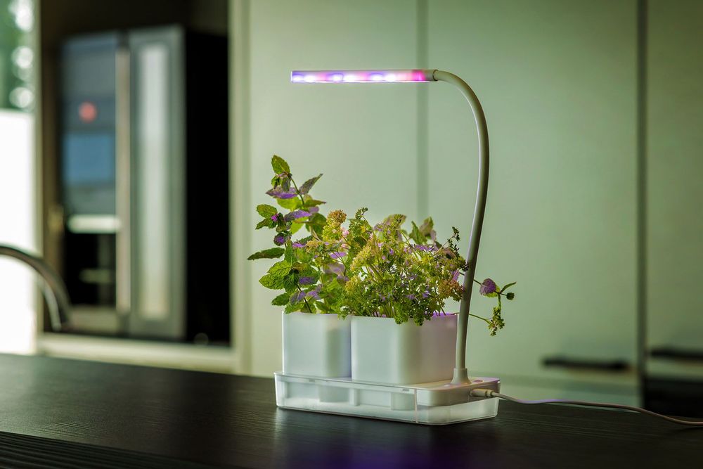 Garden accessories - Esschert's Garden, Water in the Garden: Each garden can be special with our ecological and nature-friendly products (saving water, etc...) - ESSCHERT DESIGN