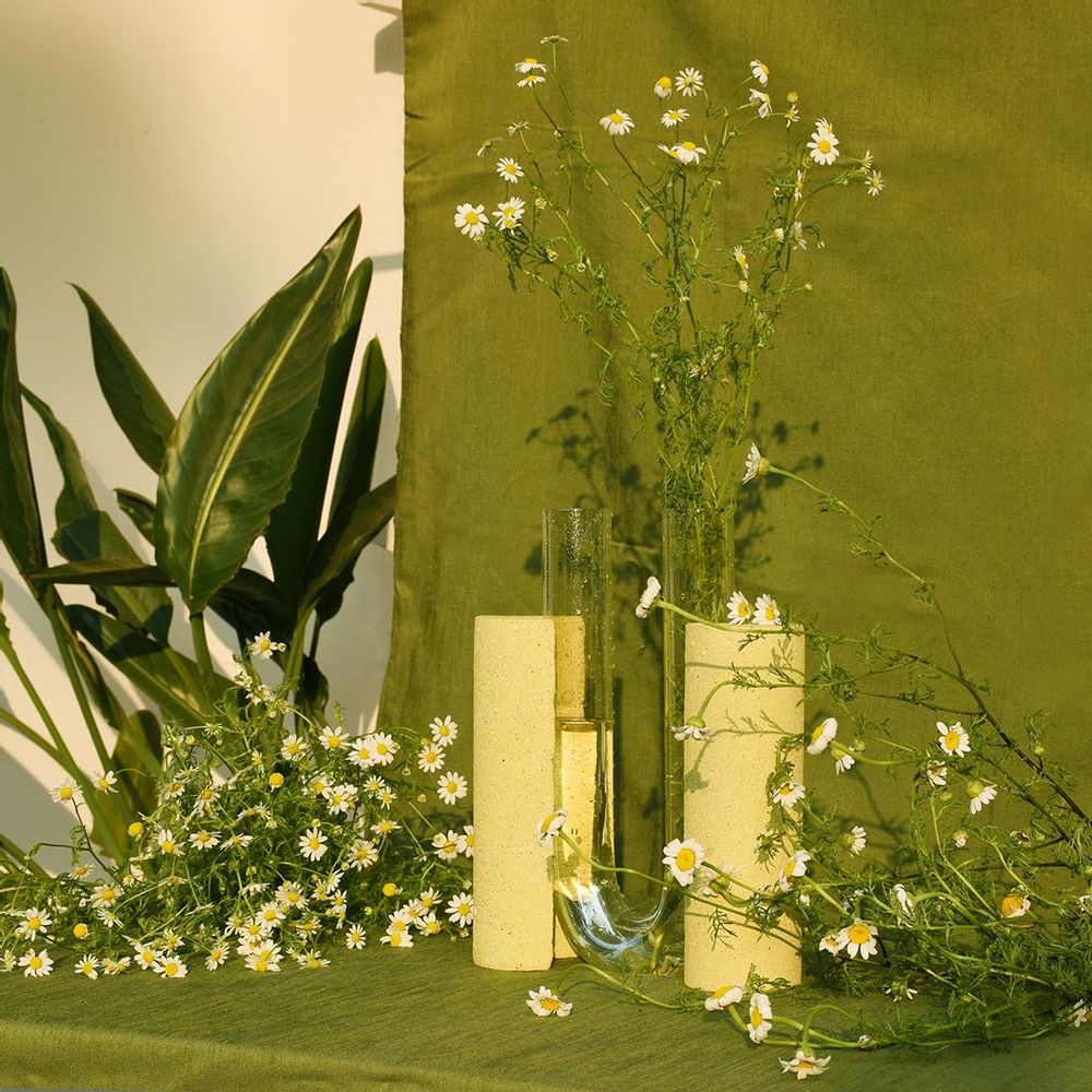 Vases - Contemporary Vase for flowers, glass and stone_COCHLEA DELLO SVILUPPO - COKI