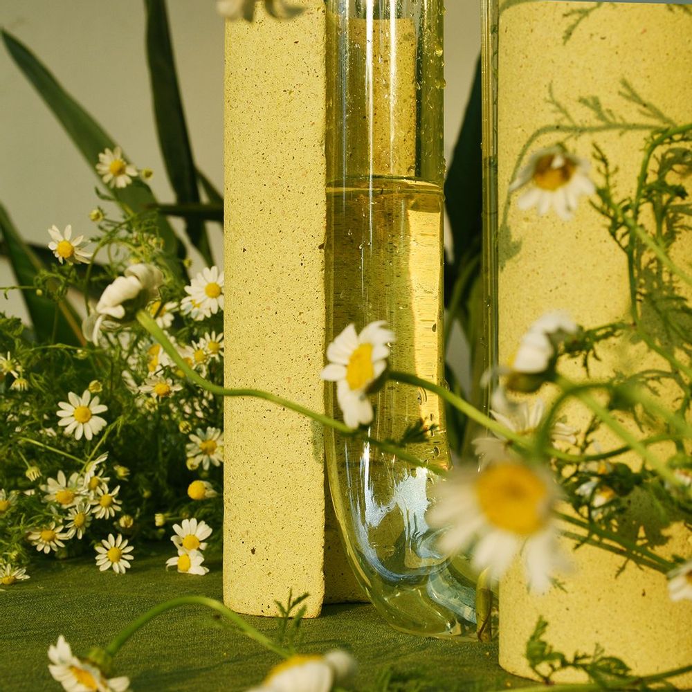 Vases - Contemporary Vase for flowers, glass and stone_COCHLEA DELLO SVILUPPO - COKI