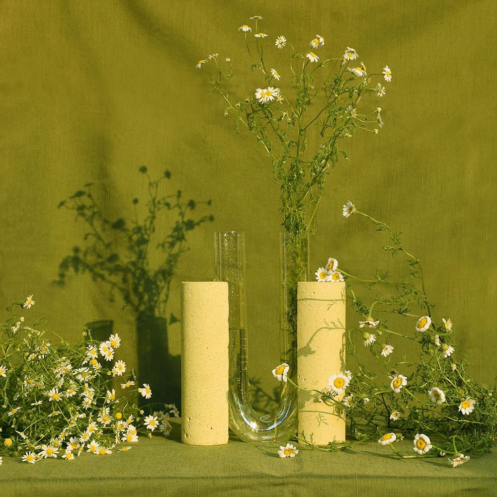 Vases - Contemporary Vase for flowers, glass and stone_COCHLEA DELLO SVILUPPO - COKI
