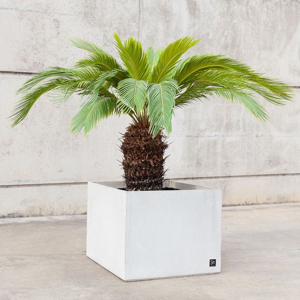 Flower pots - Cubic 60, planter - SIT URBAN DESIGN