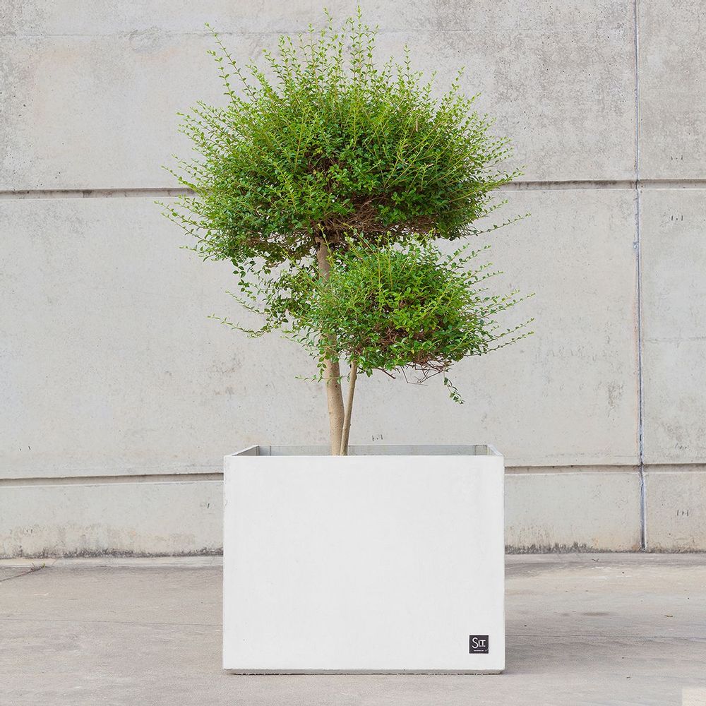 Pots de fleurs - Cubic 45, jardinière - SIT URBAN DESIGN