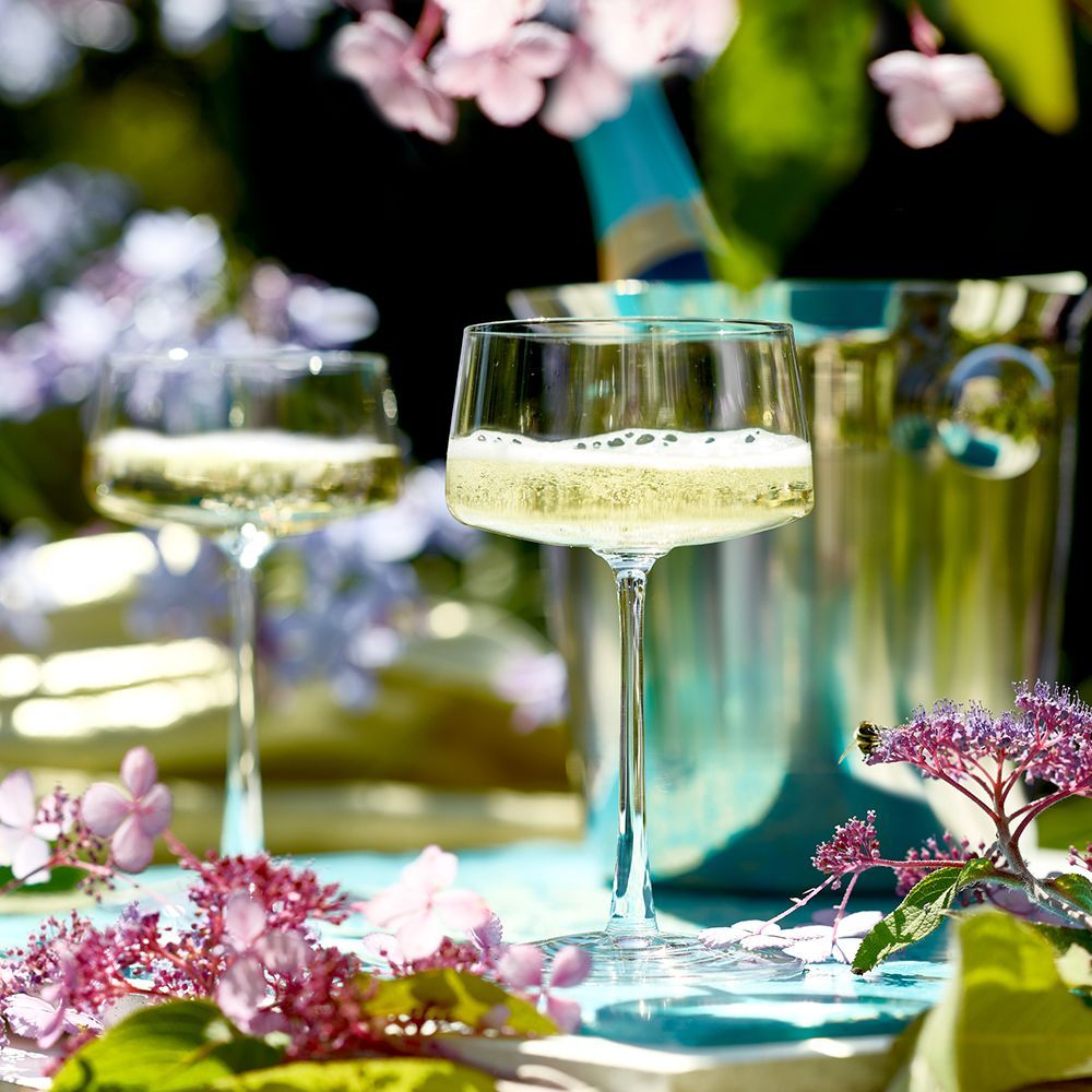 Stemware - POWER Glass Series - STOELZLE LAUSITZ