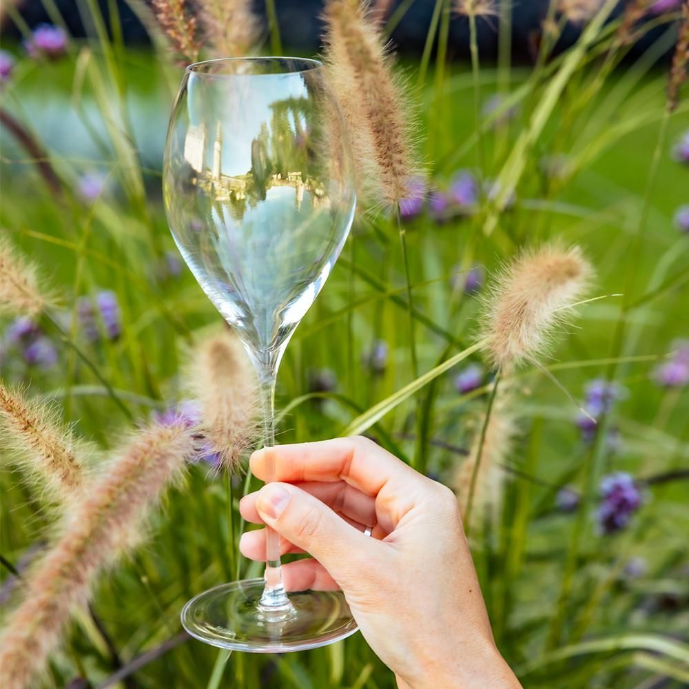 Stemware - FINO Glassware - STOELZLE LAUSITZ