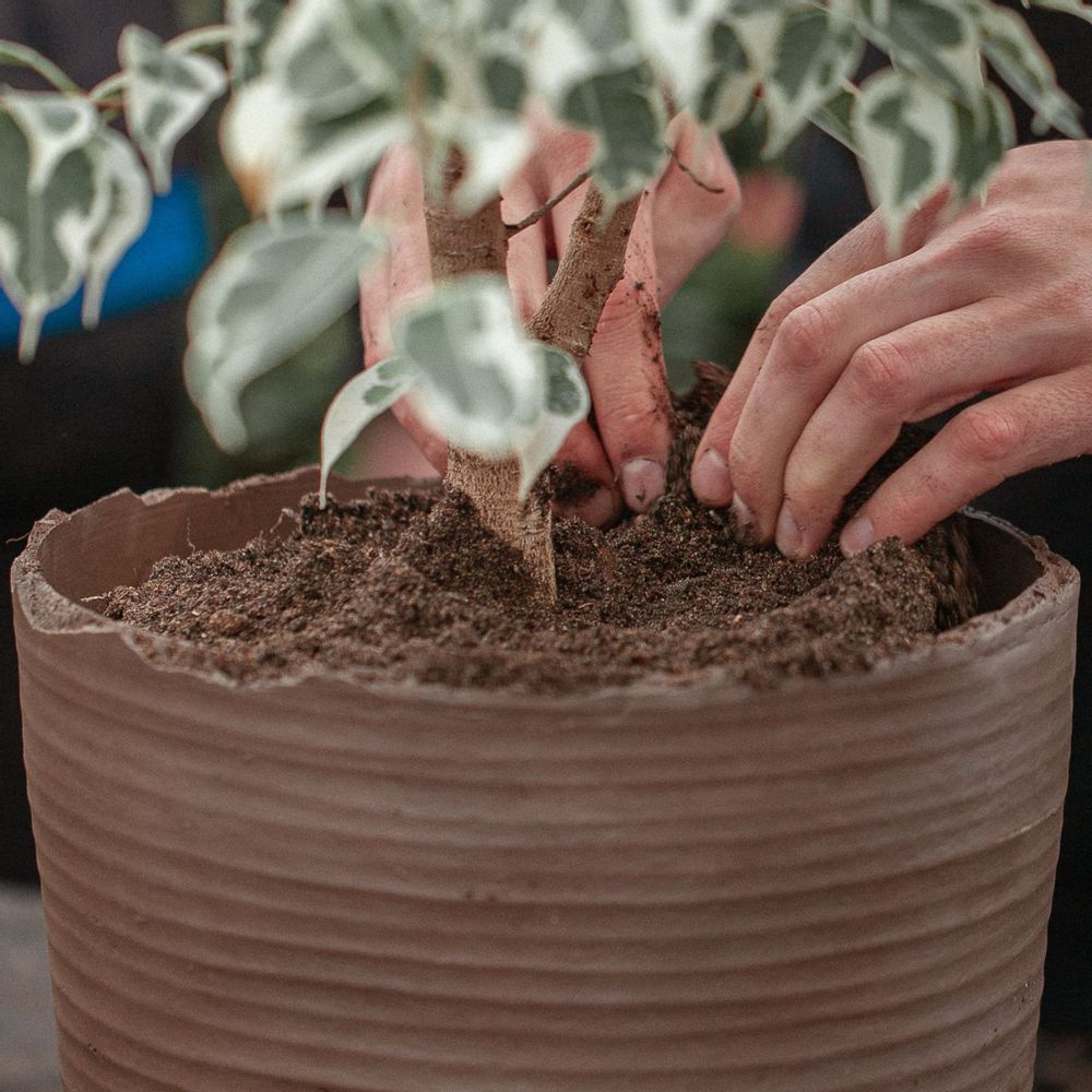 Décorations florales - Pot à fleurs avec soucoupe · SOL - VAIDAVA CERAMICS