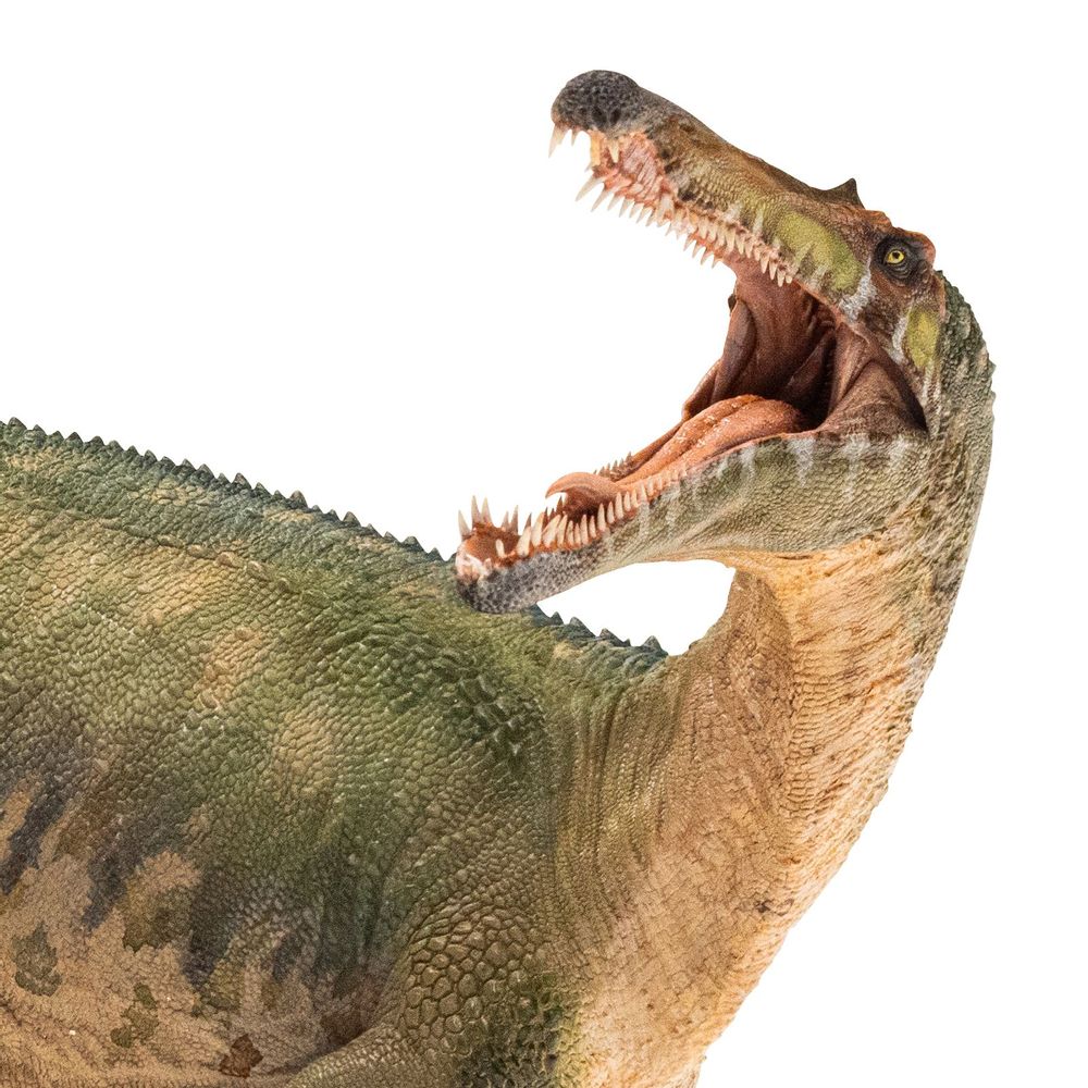 Toys - Suchomimus - PAPO