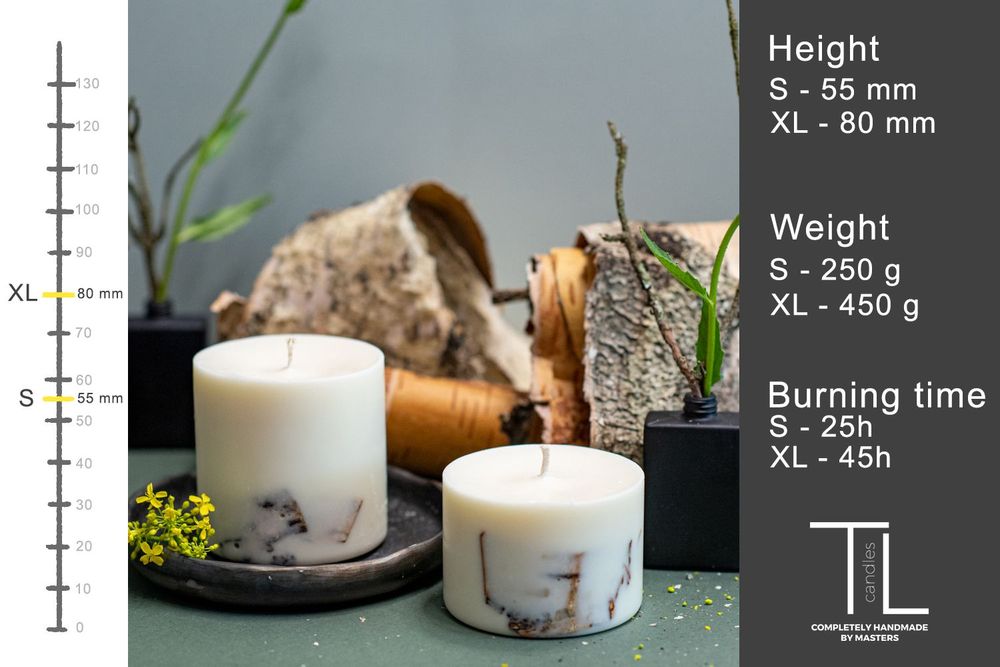 Candles - Candle with Eucalyptus Scent - TL CANDLES