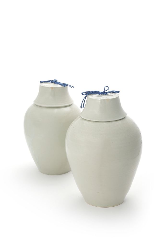 Céramique - [NANAL (ville de Yeoju)] Vase - Prunus en porcelaine blanche - K-CERAMIC(LIVING BY SOIL)