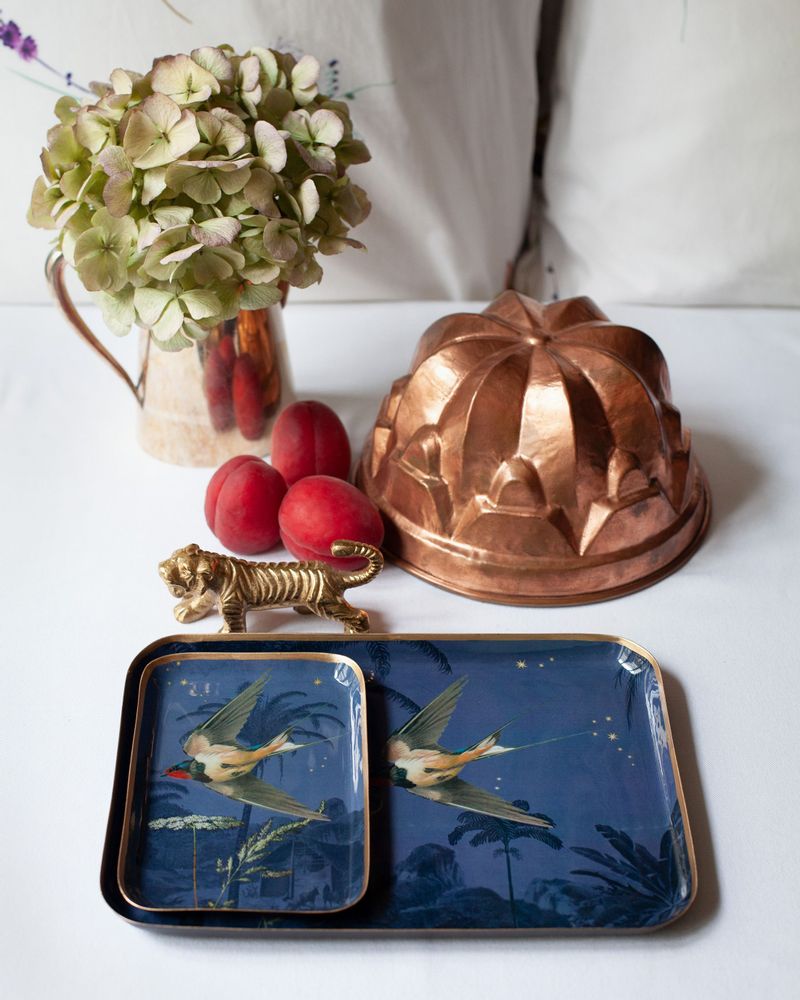 Trays - Enamelled Trays - PARADISIO IMAGINARIUM