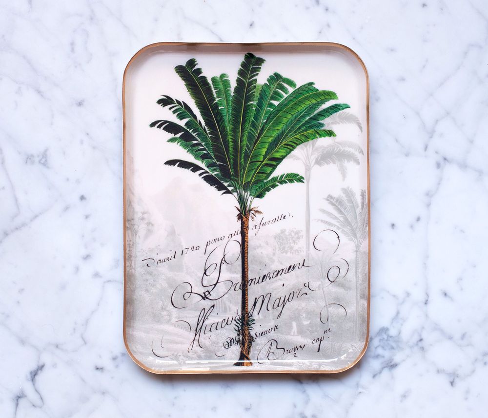 Trays - Enamelled Trays - PARADISIO IMAGINARIUM