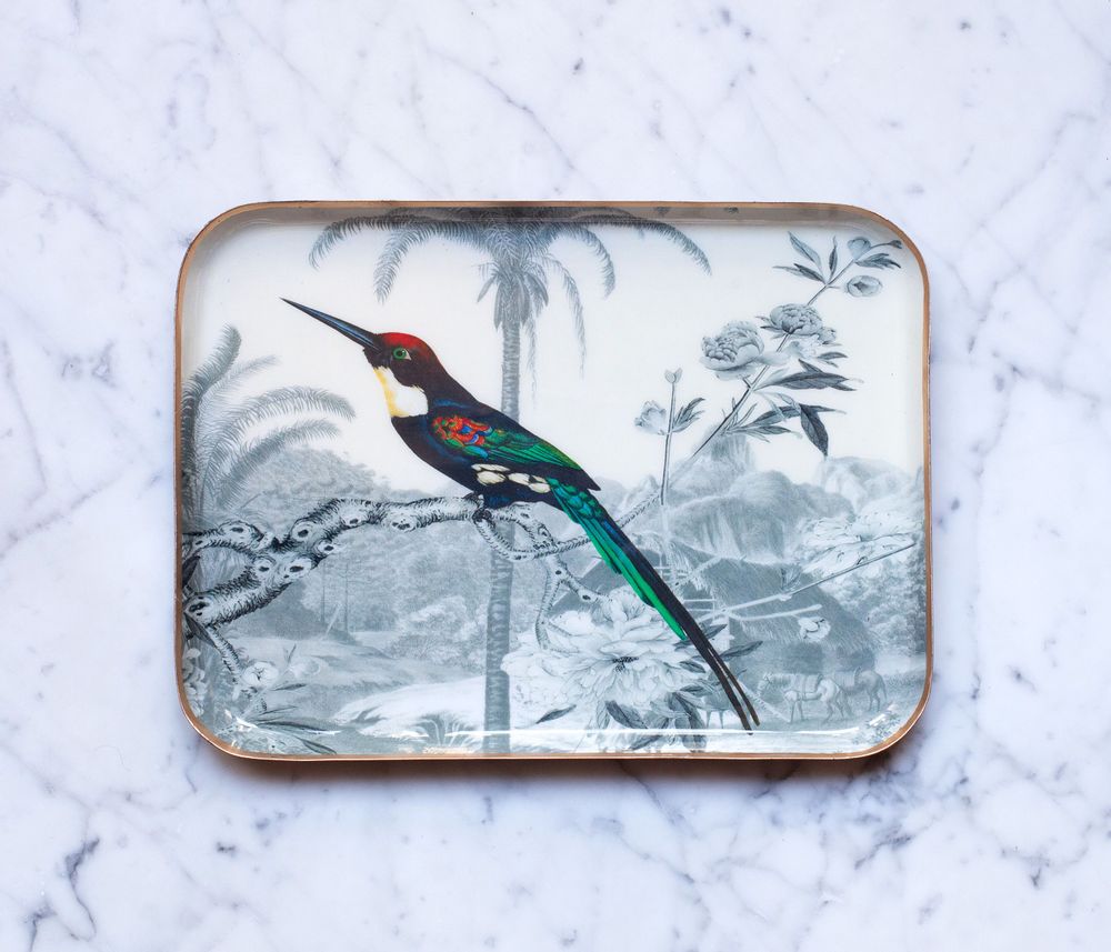 Trays - Enamelled Trays - PARADISIO IMAGINARIUM