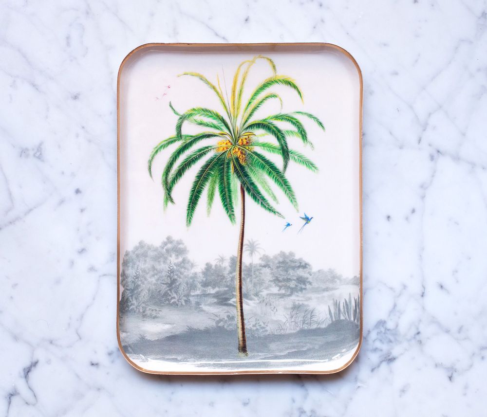 Trays - Enamelled Trays - PARADISIO IMAGINARIUM