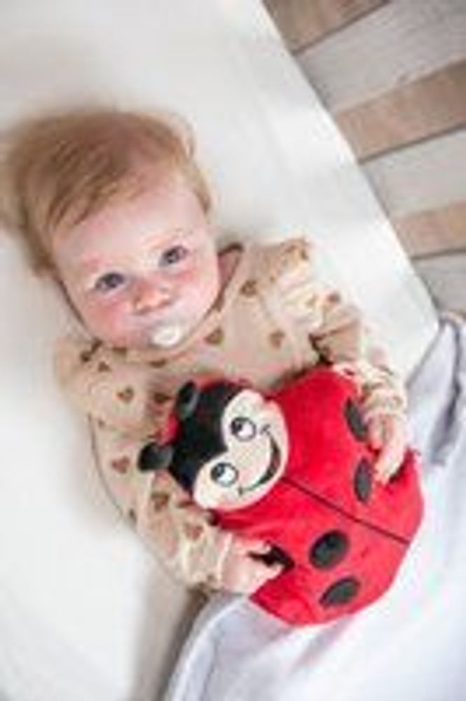 Coussins - Cherry Belly Baby Peluche Coccinelle - Coussin de Lin - INATURA