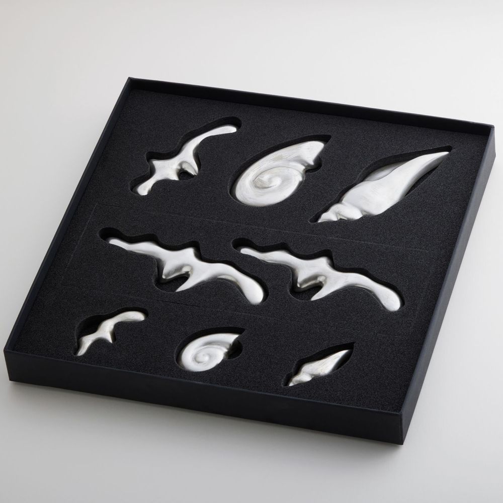 Couverts de service - [IAAC Crafts] Shell rest gift set - KIDP(KOREA INSTITUTE OF DESIGN PROMOTION)