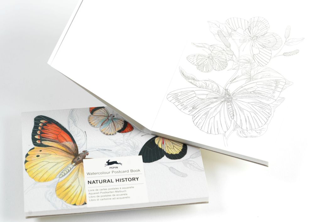 Gifts - PEPIN Watercolour Postcard Books - THE PEPIN PRESS