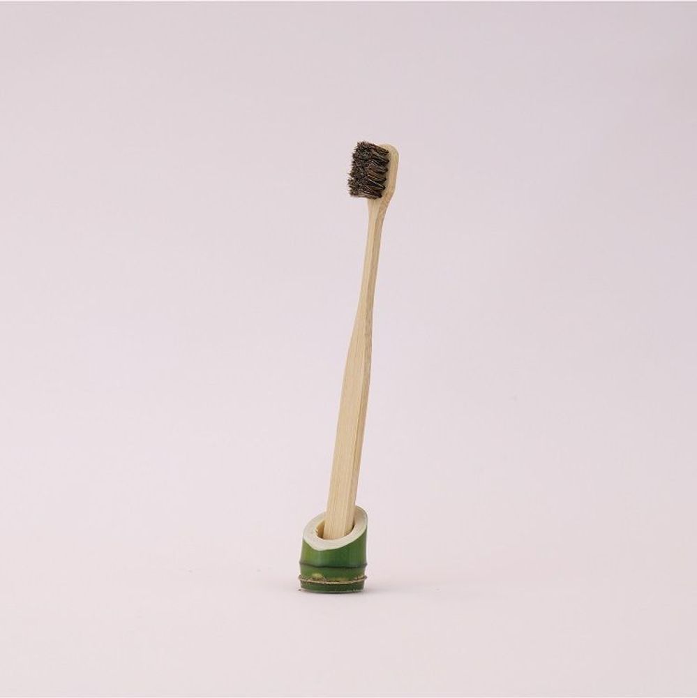 Cosmétiques - Brosse à Dents en Poils de Cheval - TAIWAN CRAFTS & DESIGN