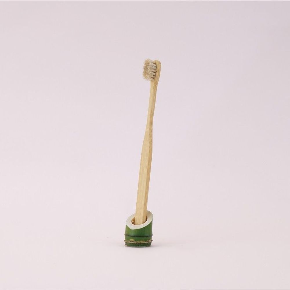 Cosmétiques - Brosse à Dents Très Fine en Poils de Cheval - TAIWAN CRAFTS & DESIGN