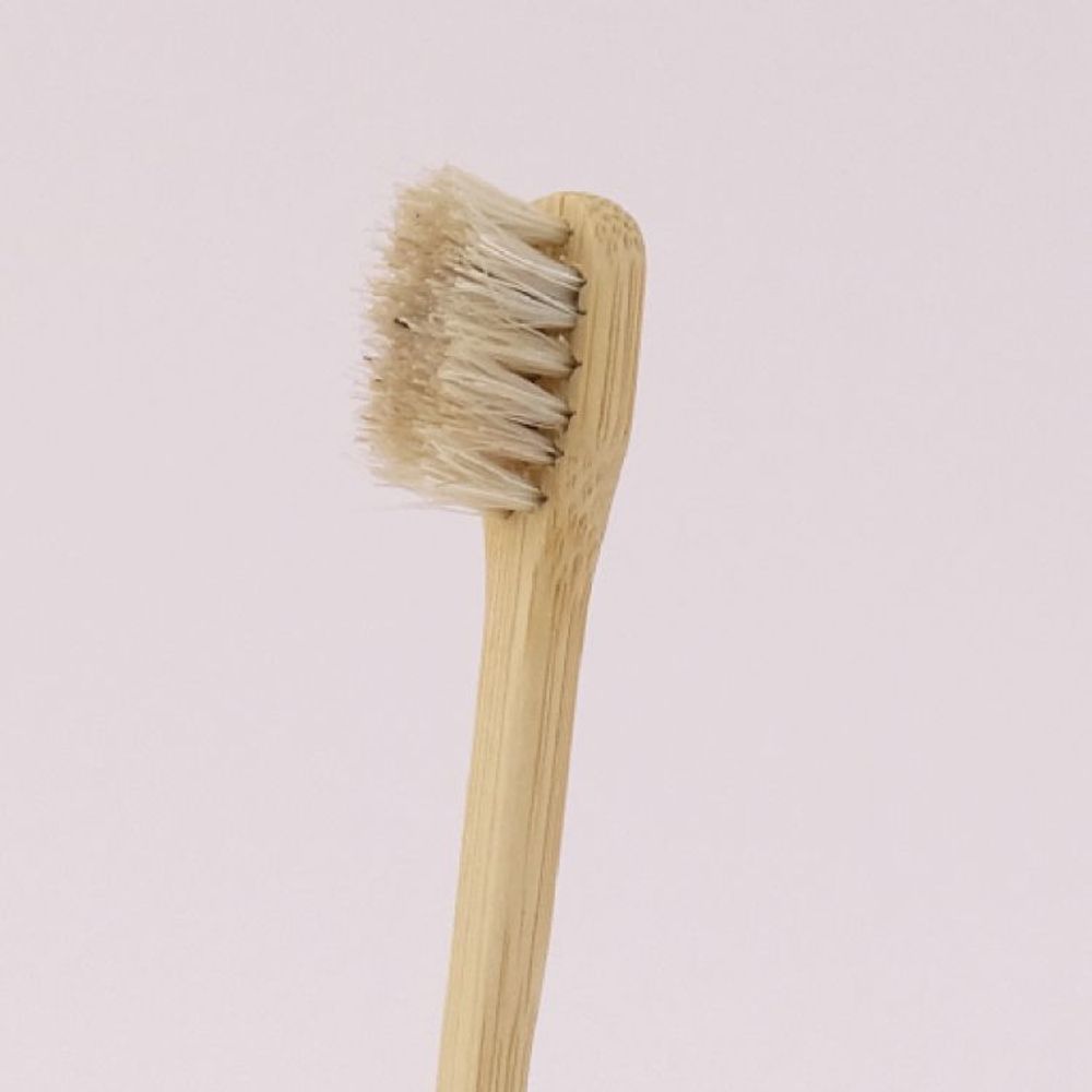Cosmétiques - Brosse à Dents Très Fine en Poils de Cheval - TAIWAN CRAFTS & DESIGN