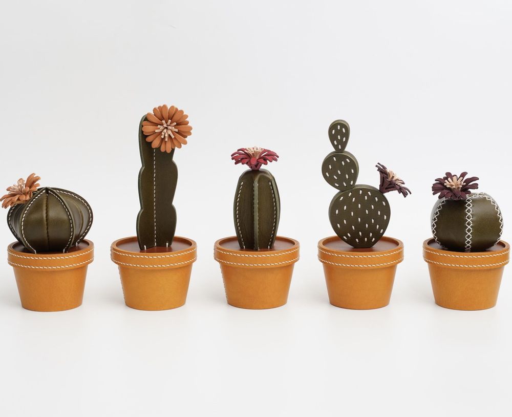 Objets design - Boîte de rangement cactus en cuir - La Collection CACTACEAE - TAIWAN CRAFTS & DESIGN