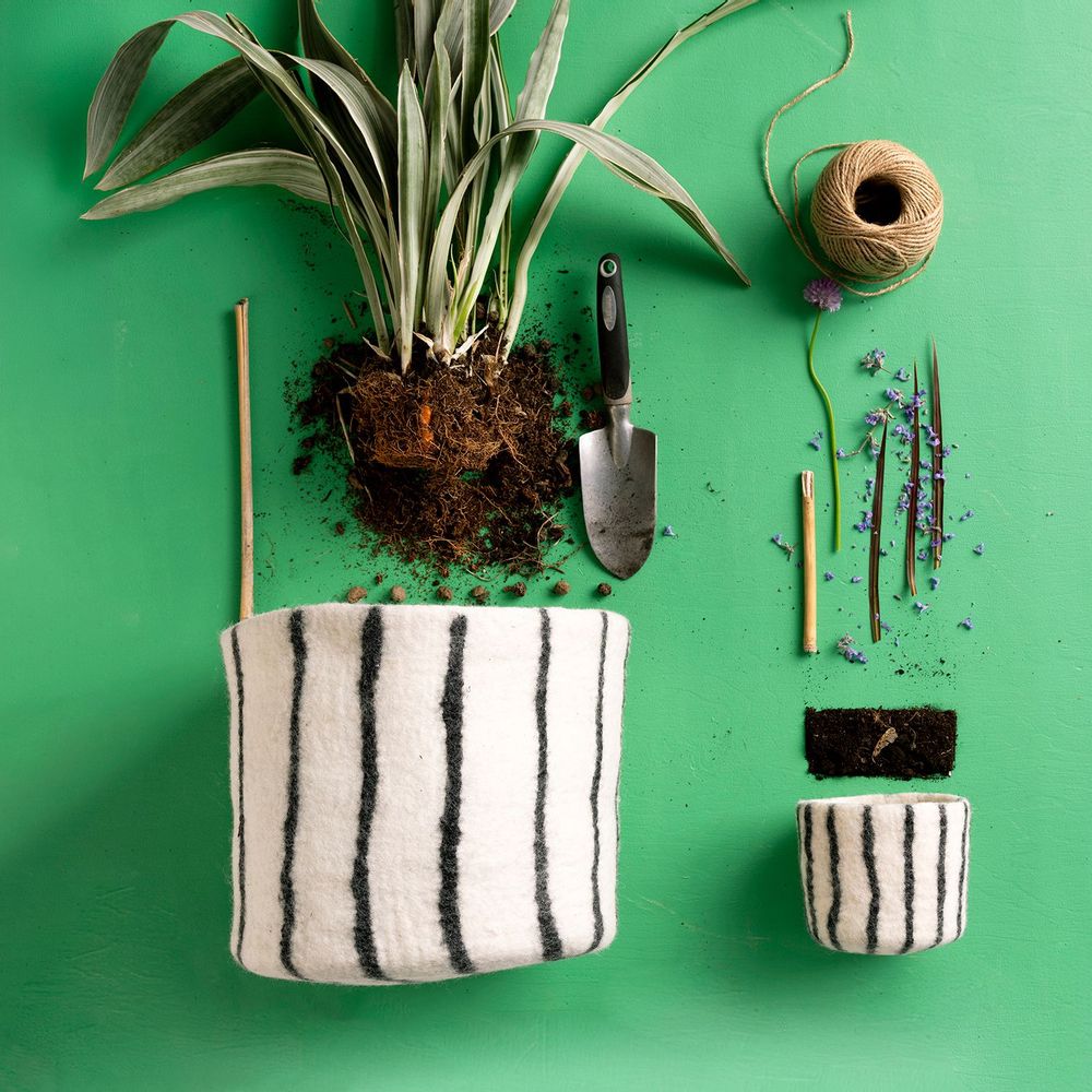 Office design and planning - Flower pots - AVEVA DESIGN