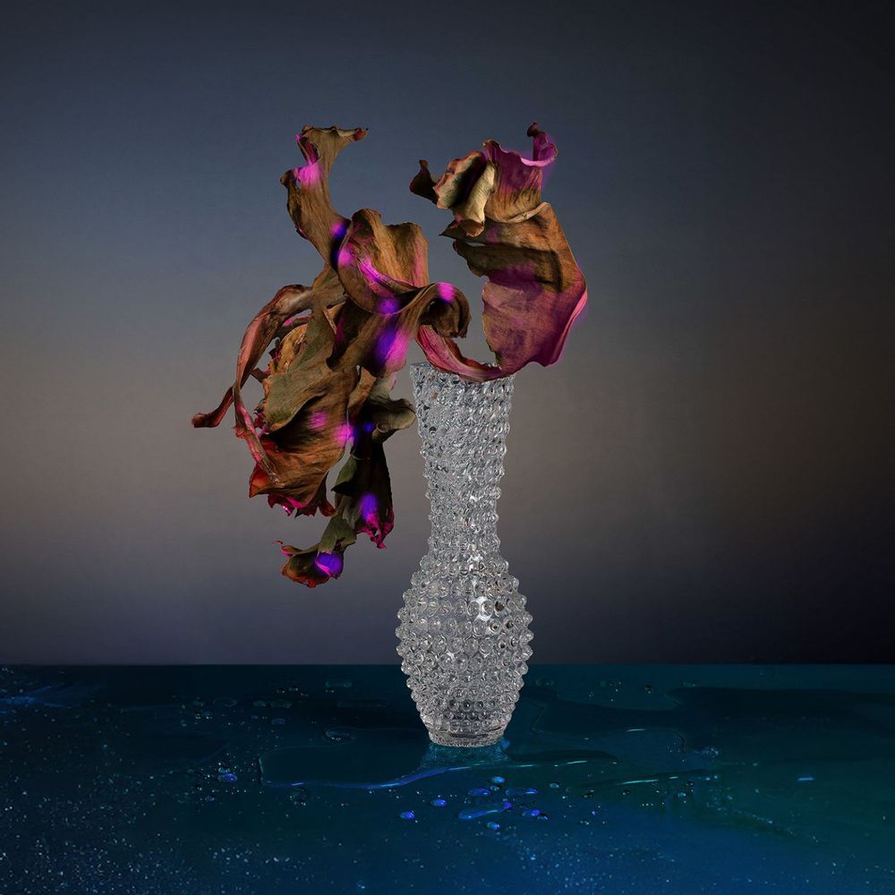 Vases - Fugu Vases - KLIMCHI