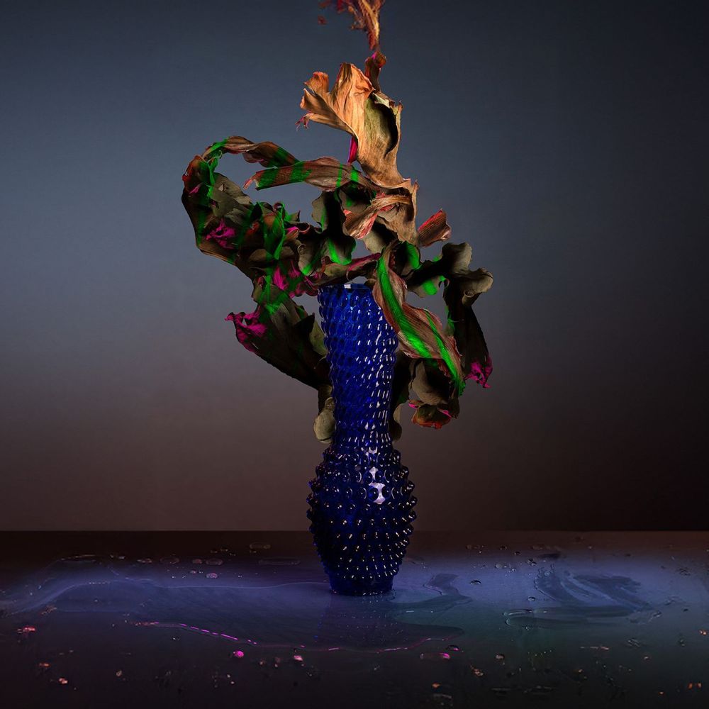 Vases - Fugu Vases - KLIMCHI